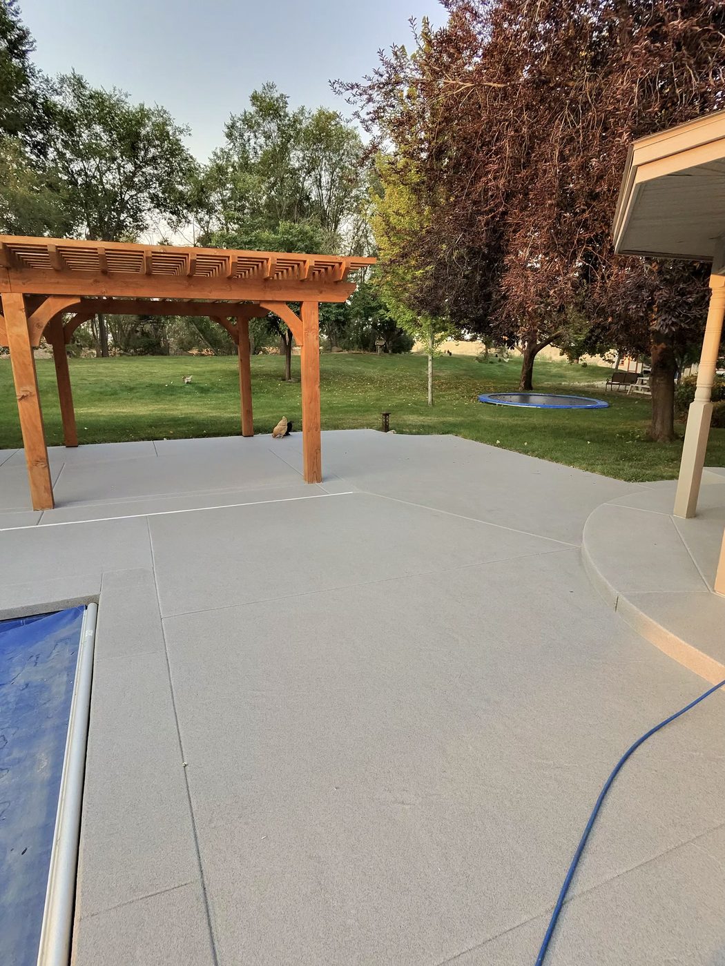 Coated pool deck with a cedar pergola and lawn